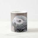 Buscar congo tazas Loro
