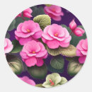 Buscar begonias pegatinas Floral