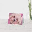 Buscar perritos malteses postales Lindo