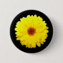 Buscar fluorescente chapas Flores