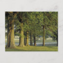 Buscar lexington kentucky postales Naturaleza