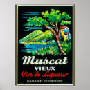 Buscar moscatel posters Vino