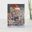 Buscar deliciosas tarjetas de navidad Gato