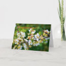 Buscar dorsal tarjetas General y unisex