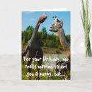Buscar collie tarjetas Humor