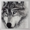Buscar lobo blanco negro posters Naturaleza