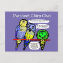 Buscar parakeet postales Loro