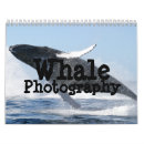 Buscar ballena fotografía Para todos