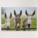 Buscar de la naturaleza puzzles General y unisex