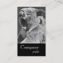 Buscar koala tarjetas de visita Divertido