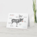 Buscar anatomía tarjetas Santa