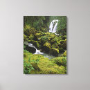 Buscar verde musgo lienzos Usa