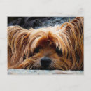 Buscar perro lindo postales Tarjeta