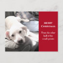 Buscar perro en el sofá postales Para todos