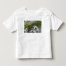 Buscar pull camisetas Negro
