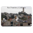 Buscar gaviotas imanes California