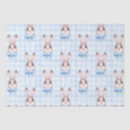 Buscar rabbit 5 º ducha