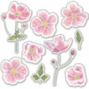 Buscar flores blancas manualidades Para todos