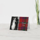 Buscar stewart tarjetas Foto