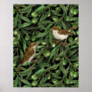 Buscar aceituna posters Hojas