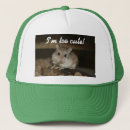 Buscar hámster gorras Lindo