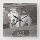 Buscar perro relojes de pared Blanco y negro