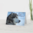 Buscar perro casero tarjetas Navidades