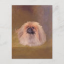 Buscar pekingese postales Peke