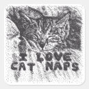 Buscar aplauso pegatinas 9 º gata