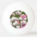 Buscar rosas pelotas de ping pong Flor