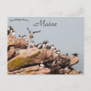 Buscar aleta postales Mar