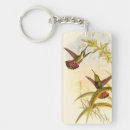 Buscar colibrí accesorios Pájaro
