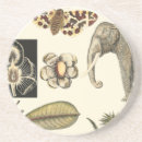 Buscar visual posavasos Naturaleza