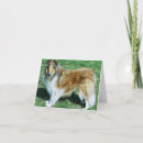 Buscar áspero tarjetas Collie