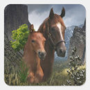 Buscar amo caballos postales Animales