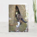 Buscar gato de hadas tarjetas Faeries