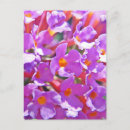 Buscar raras postales Flores