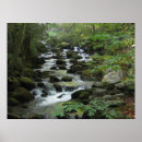 Buscar gatlinburg posters Tennessee