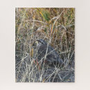Buscar perdices puzzles Pájaro
