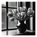 Buscar tulipanes blancos negros posters Fotografía