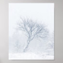 Buscar árbol solitario posters Frío