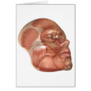 Buscar rostro humano postales Representación humana
