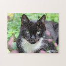 Buscar gato blanco y negro puzzles Jardín