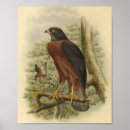 Buscar mini mancha posters Vintage