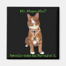 Buscar persianas imanes Gato