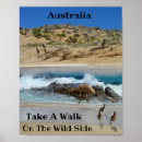 Buscar playa australiana posters Australiano