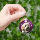 Buscar cavapoo accesorios Amante de los perros