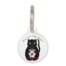 Buscar judío mascotas Gato