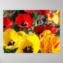 Buscar tulips posters Red
