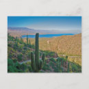 Buscar tonto postales Arizona